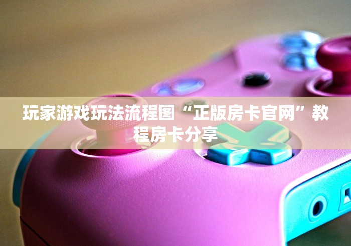 玩家游戏玩法流程图“正版房卡官网”教程房卡分享
