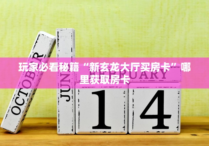 玩家必看秘籍“新玄龙大厅买房卡”哪里获取房卡