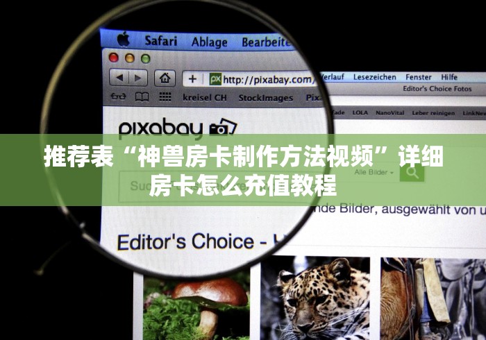 推荐表“神兽房卡制作方法视频”详细房卡怎么充值教程