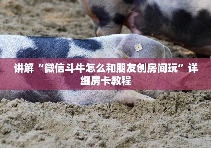 讲解“微信斗牛怎么和朋友创房间玩”详细房卡教程