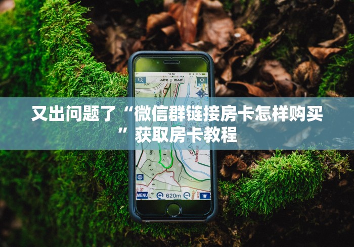又出问题了“微信群链接房卡怎样购买”获取房卡教程
