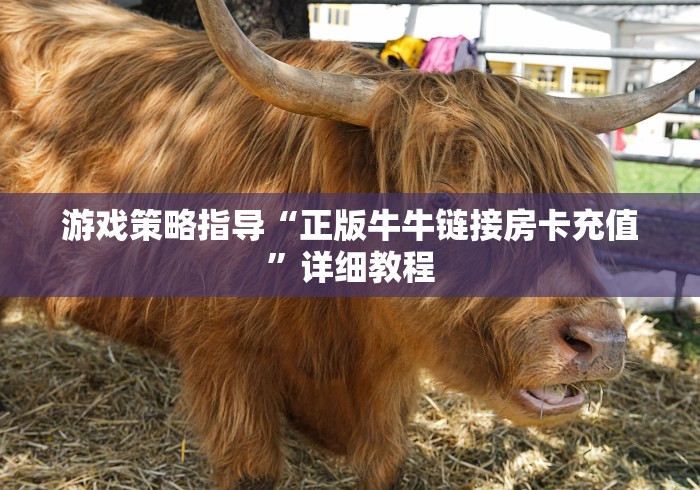 游戏策略指导“正版牛牛链接房卡充值”详细教程