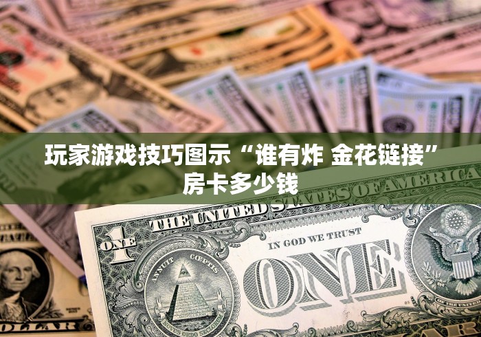 玩家游戏技巧图示“谁有炸 金花链接”房卡多少钱